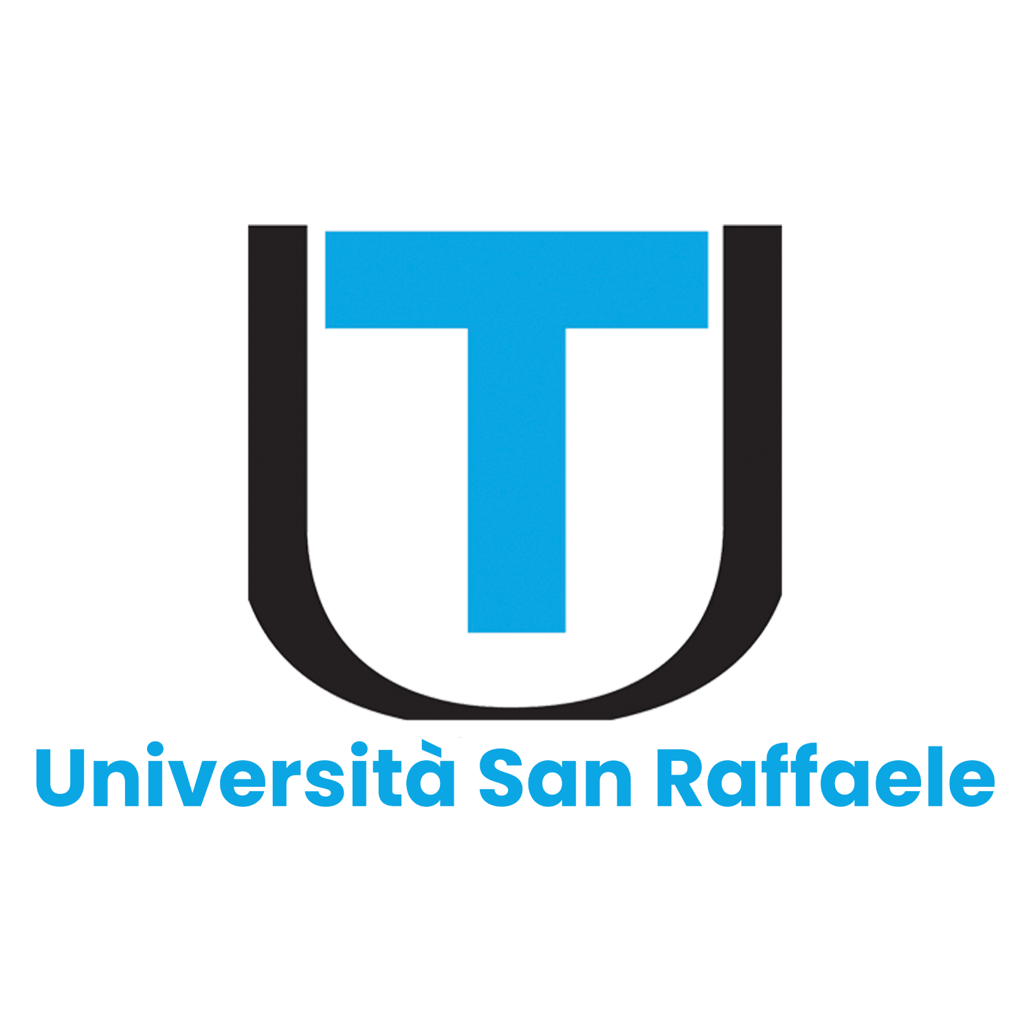 logo san raffaele png